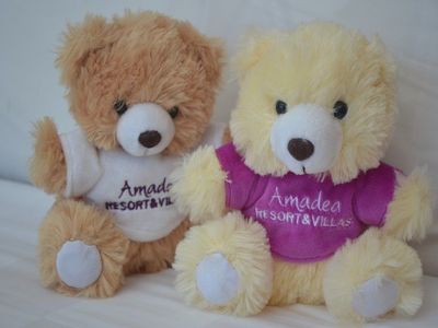 Adopt A Bear to Help Kids Get Their Smile Back Forever