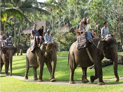 Fun Activity of the Month: Elephant Safari